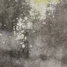 Καθαριστικά για κτίρια - εξωτερικά και εσωτερικά